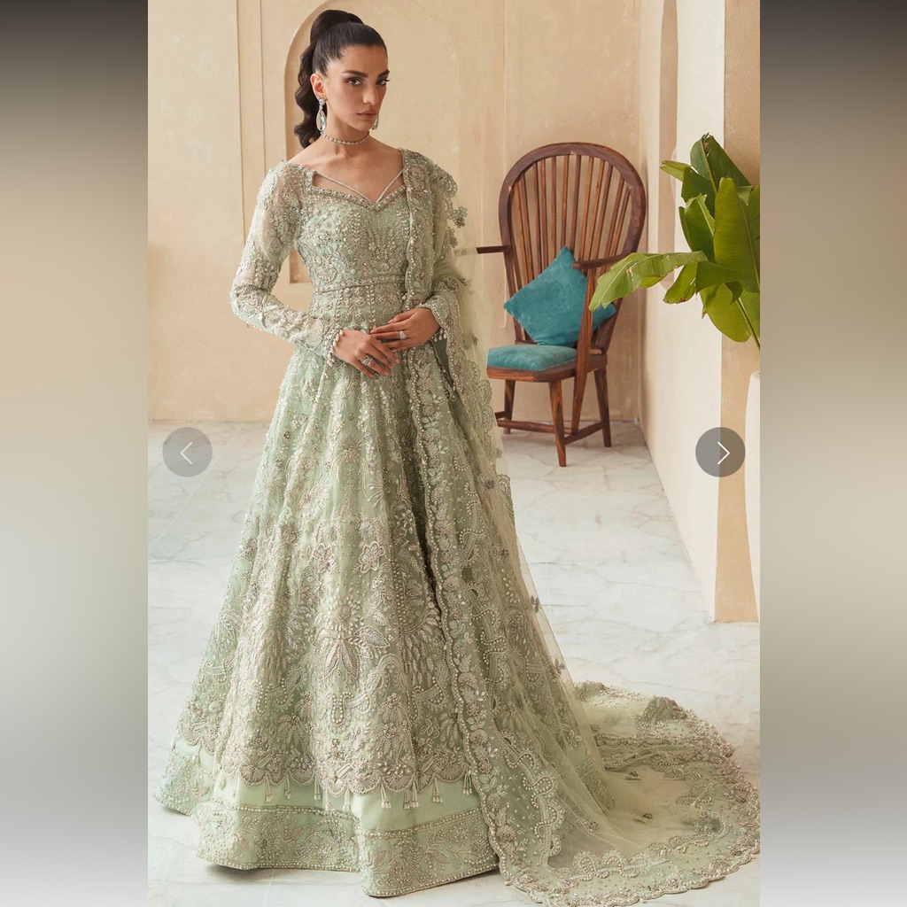 Pakistani/ Indian Party Dress/ Mehndi Dress